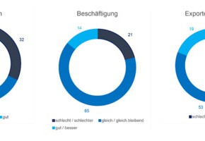 Motiv: Kreisdiagramm Konjunkturumfrage (Foto: IHK Arbeitsgemeinschaft RLP)